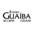 ico-guaiba